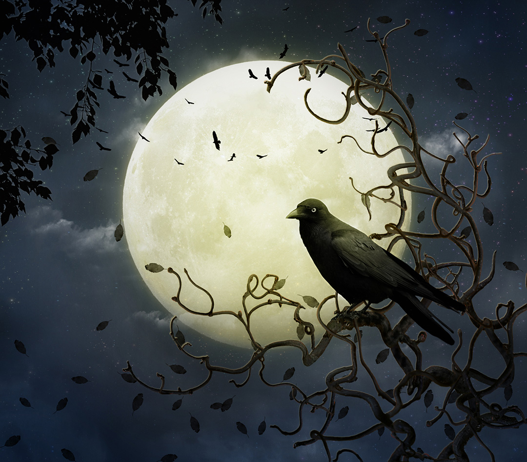 crow against a bright moon at night | A Poe Cabaret